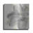 " Floral Gray I " by Chris Paschke-1663424894