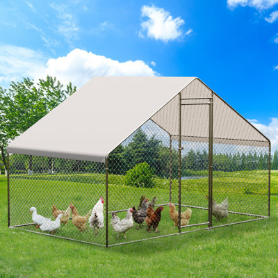 Chicken Coop