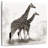 Crowle Wandering Giraffe-109399147