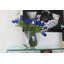 Moon vase with white Tulips-846601495