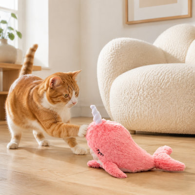 Ensemble de jouets pour chat Flap
