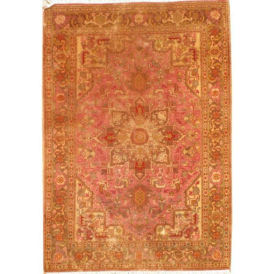 Meriam Oriental Area Rug