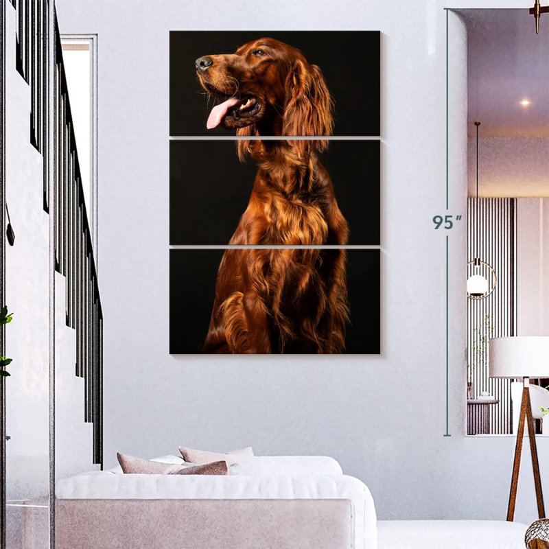 Brampt Irish Setter Dog