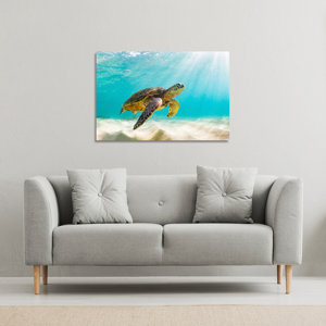 Bayou Breeze Photo Of Sea Turtle In The Galapagos Island On Canvas by ...
