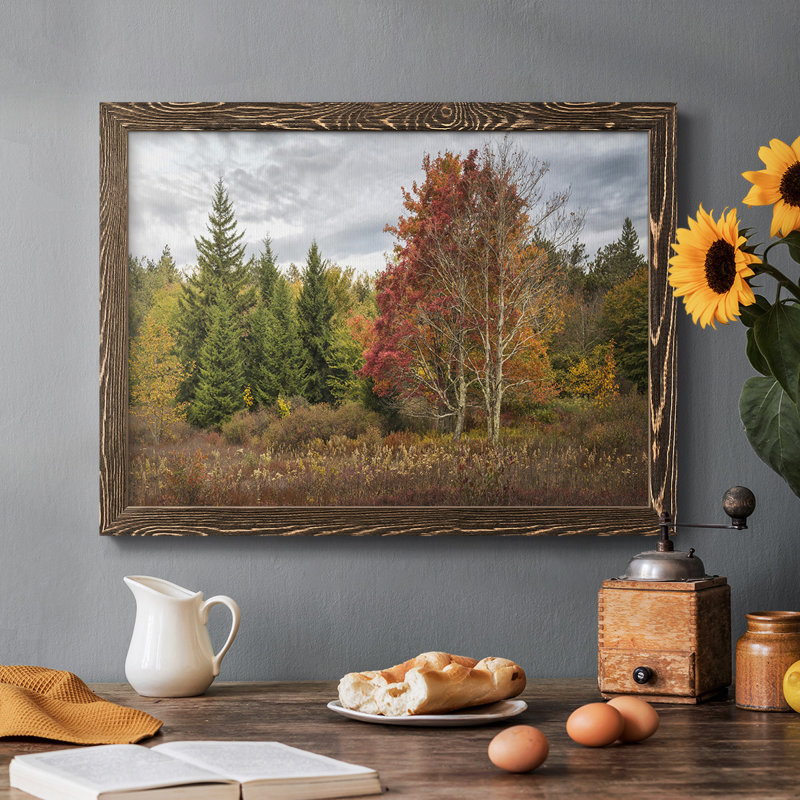Woodland Variété, reproduction sur toile encadrée, Noyer, H 18 po x l 26 po