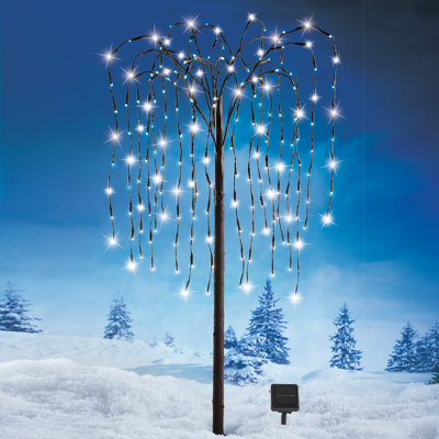 Lighted Trees & Branches