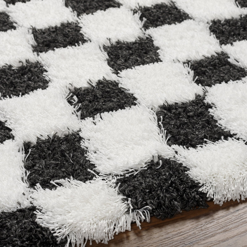 Theia Oriental Area Rug, Rectangle 160 x 220 cm