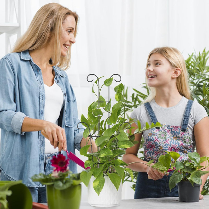 Treillis plus grand pour plantes grimpantes d'intérieur, 4 ...