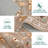 Soft and Modern Pink Area Rug - Soft Carpet for Living Room and Bedroom - Elegant Home Decor - 8x10ft (244x305cm) - USA Specification-1621820557