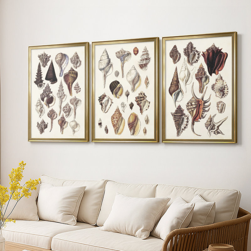 Seashell Array I - Toile tendue avec châssis sur mesure - 3 pièces, H 21 po x l 30 po, Doré