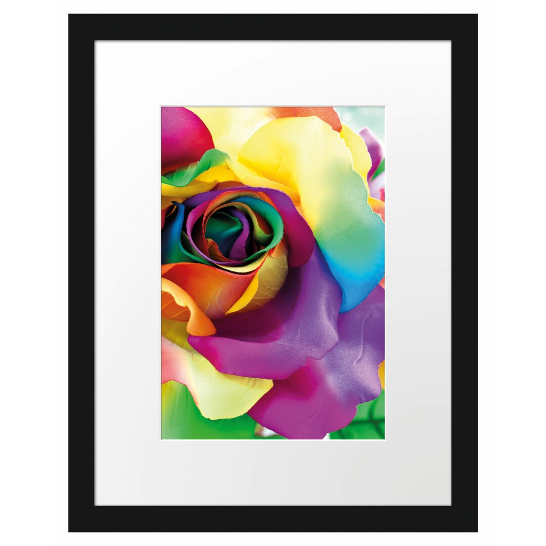 Gerahmtes Poster Bunte Rosen