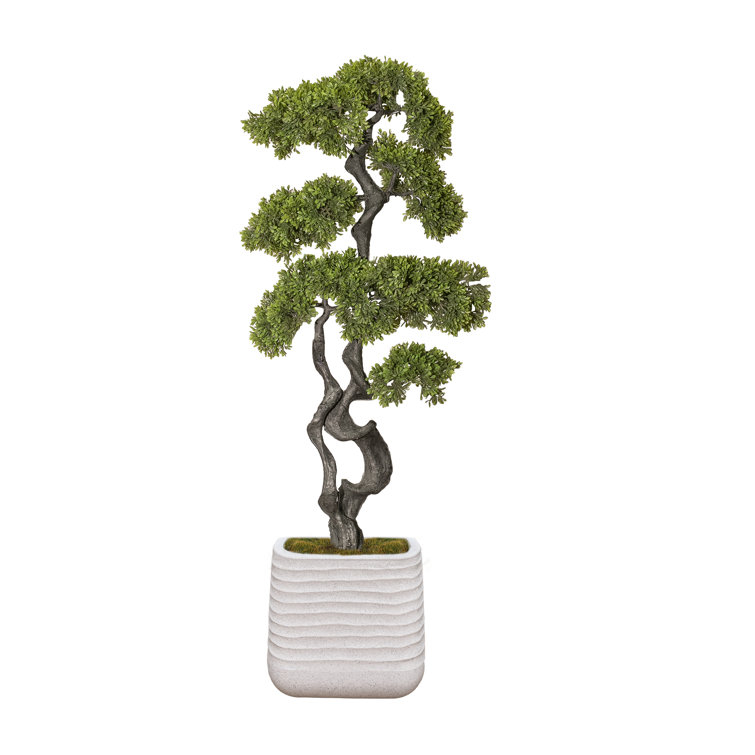 55.57'' Faux Bonsai Tree in Planter