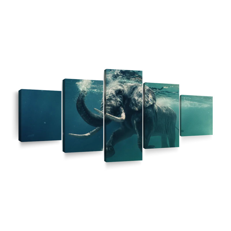 " Swimming Elephant " 5 - Pieces, 24" H x 55" W x 1.25" D
