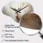 Tukhig, minimalisme, chevreuil beige, portrait IV - chevreuils en métal, horloge murale asymétrique en métal beige-2135100938