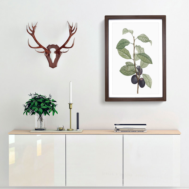Prune Tree by Pierre-Joseph Redoute - Picture Frame Painting Print, Walnut Framed, 48cm H x 36cm W x 2cm D