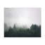 No Frame Print on Canvas