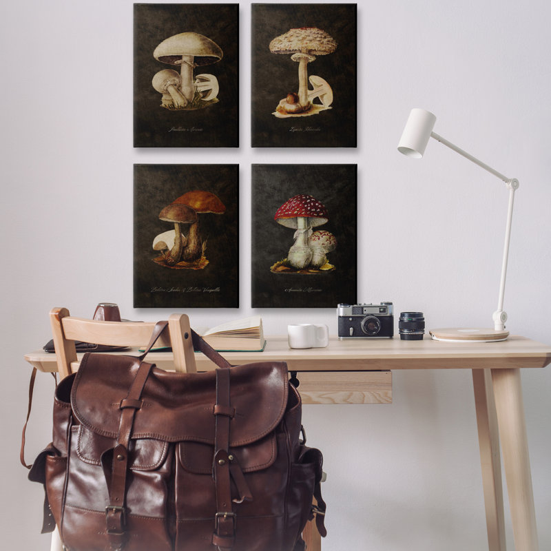  Ensemble d'art mural sur toile 4 pièces Mushroom Genus Study par Tina Higgins Designs, Inc., H 24 po x l 16 po