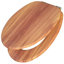Soft Close Elongated Hard Toilet Seat