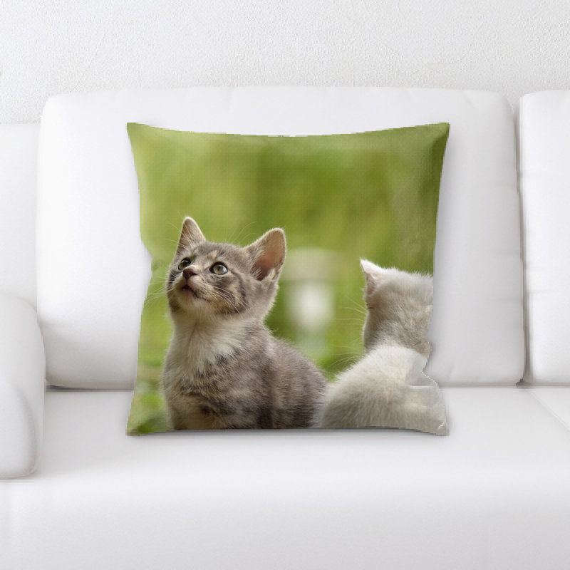 Coussin pour chat
