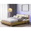 Newton Aycliffe Upholstered Bed-1025211418