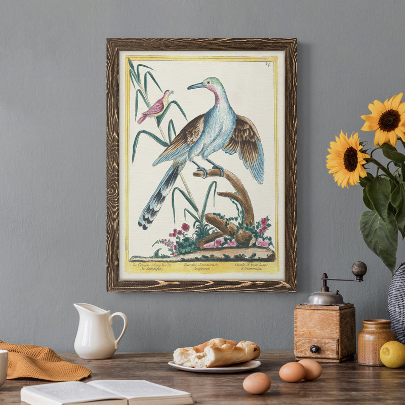 Toile encadrée Pastel Birds V Premium - prête à être accrochée, Noyer, H 38 po x l 28 po x P 1 po