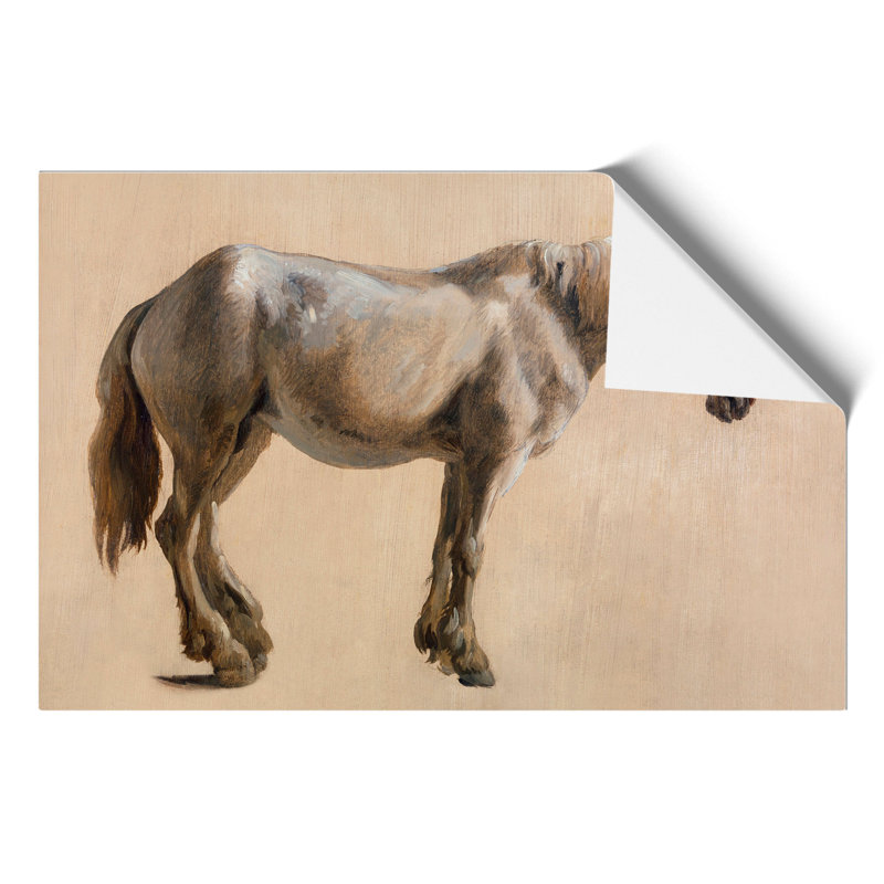 Study of a Grey Horse by Jacques Laurent Agasse - Frameless Print, 42cm H x 59cm W x 0.1cm D