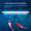 Aquarium 16,54 po-2104522078-2104522074
