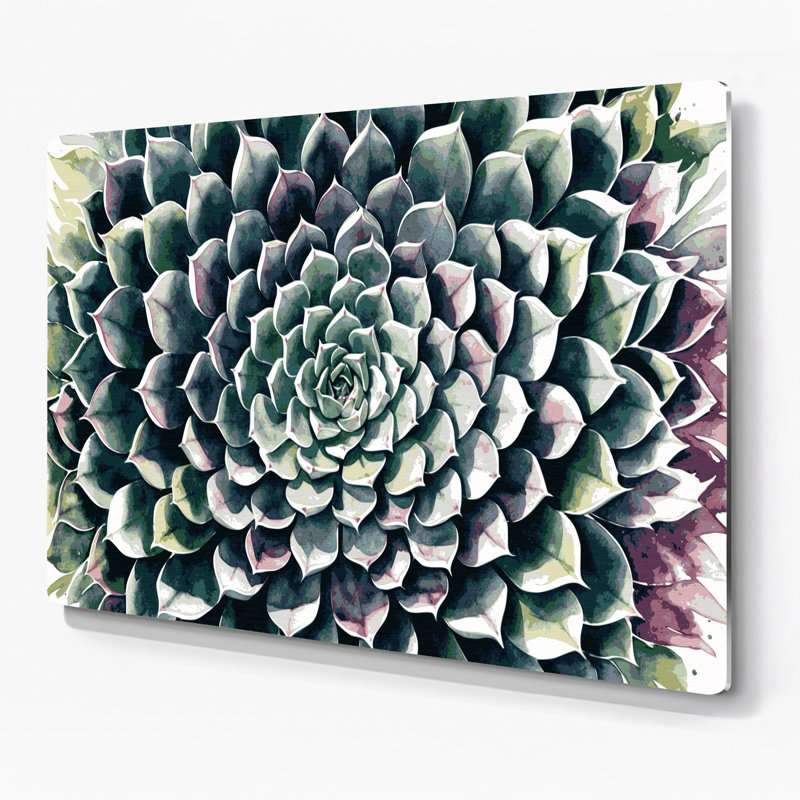 Art mural botanique gris Echeveria, H 16 po x l 20 po