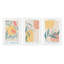 Ensemble de 3 pièces 3 "Sunlit Gardens-1798406072-1798406050