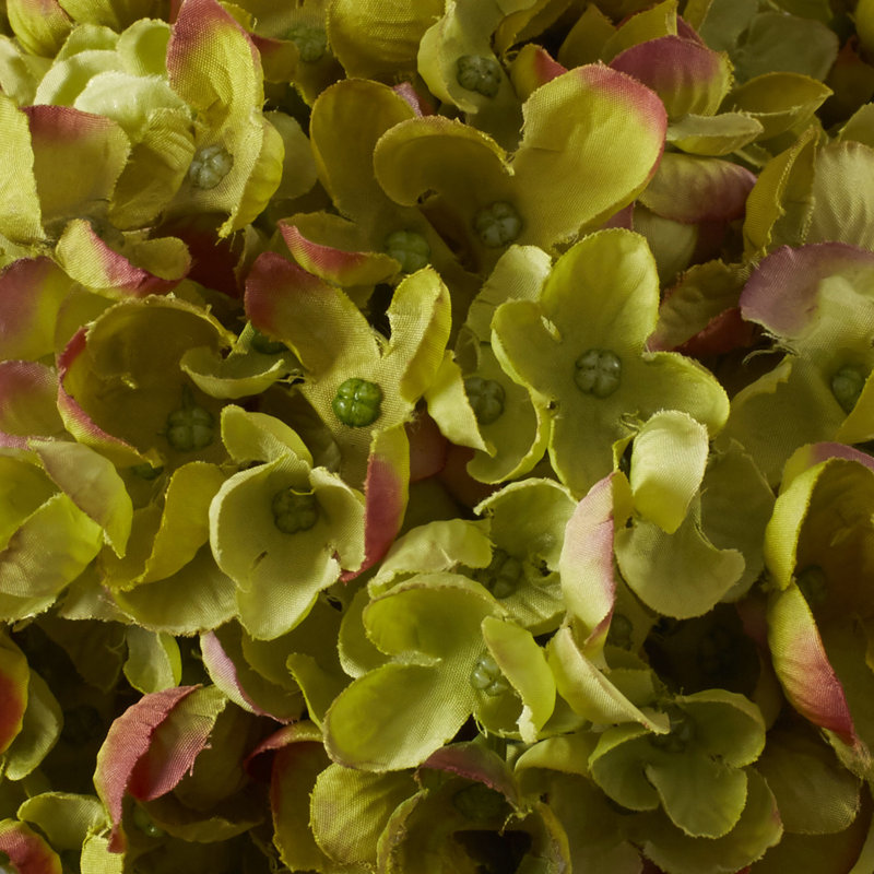 Hydrangea Arrangement in Vase