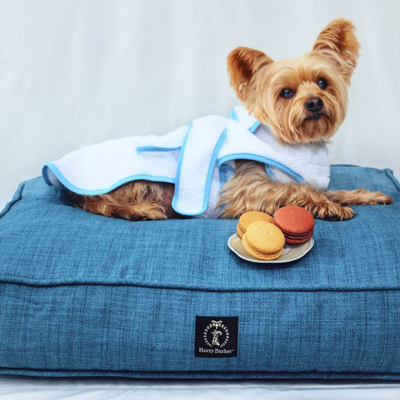 Lit pour chien Heather, Moyen (H 5 po x l 36 po x P 29 po), Bleu