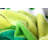 Throw Blanket-17660833