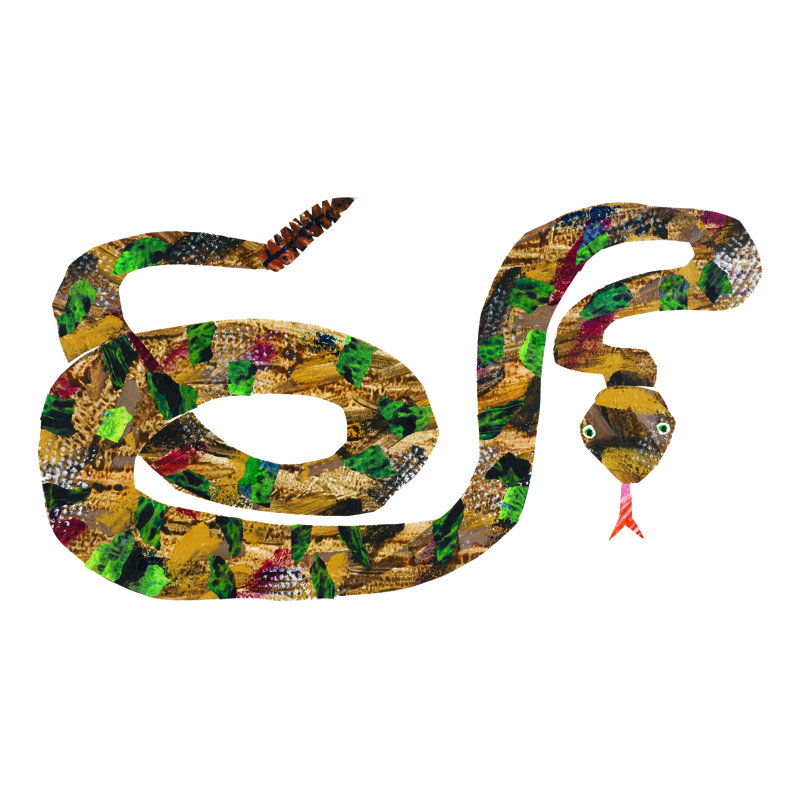 Rattlesnake by Eric Carle - Painting on Canvas, 30cm H x 45cm W