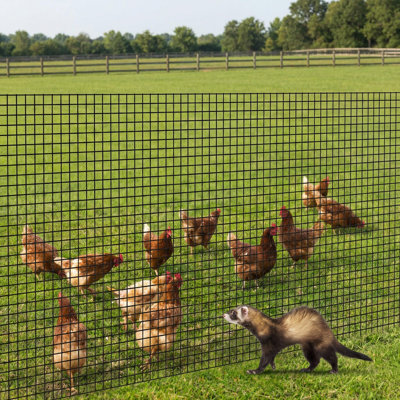 Black Vinyl Coated 19 Gauge Galvanized Hardware Cloth Garden Trellis – 1/2" Mesh, Heavy-Duty Welded Wire Roll for Poultry Coops, Rabbit Cages, and Plant Support – Long-Lasting Durability – Color: B-Black plastic dip, Size: 1.2*30m