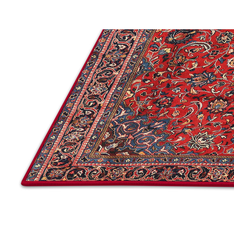 Asiyah Oriental Indoor Rug, Rectangle 5' x 7'