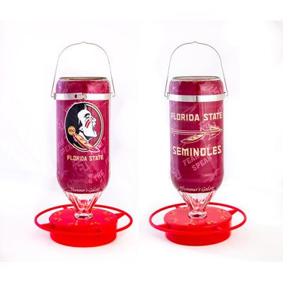 Glass Hanging Hummingbird Feeder