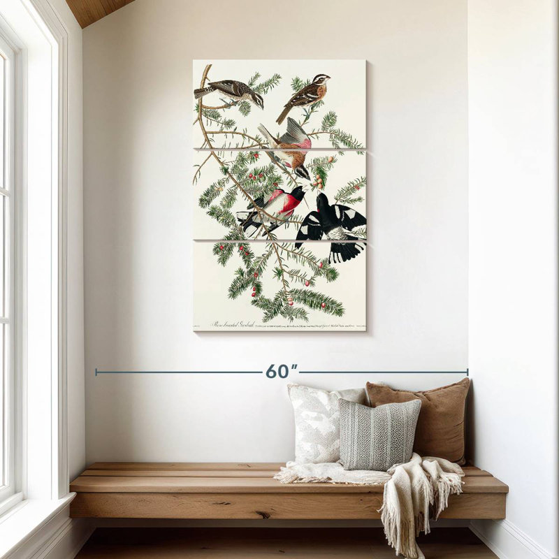 Brampt Rose Breasted Grosbeak, 45" H x 28" W