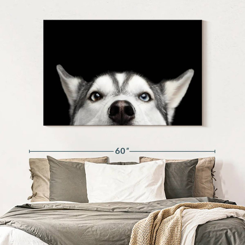 Peeking Siberian Husky, 34" H x 51" W