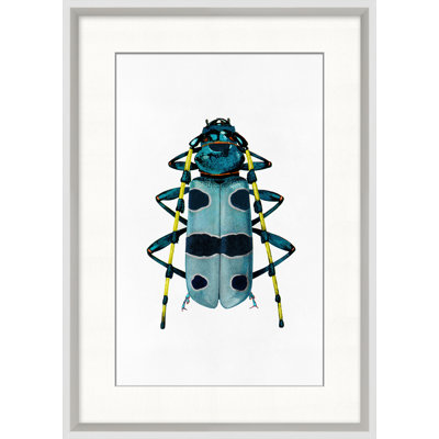 Rainbow Insect 2
