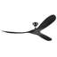 Ventilateur de plafond Black Soild-1630787295