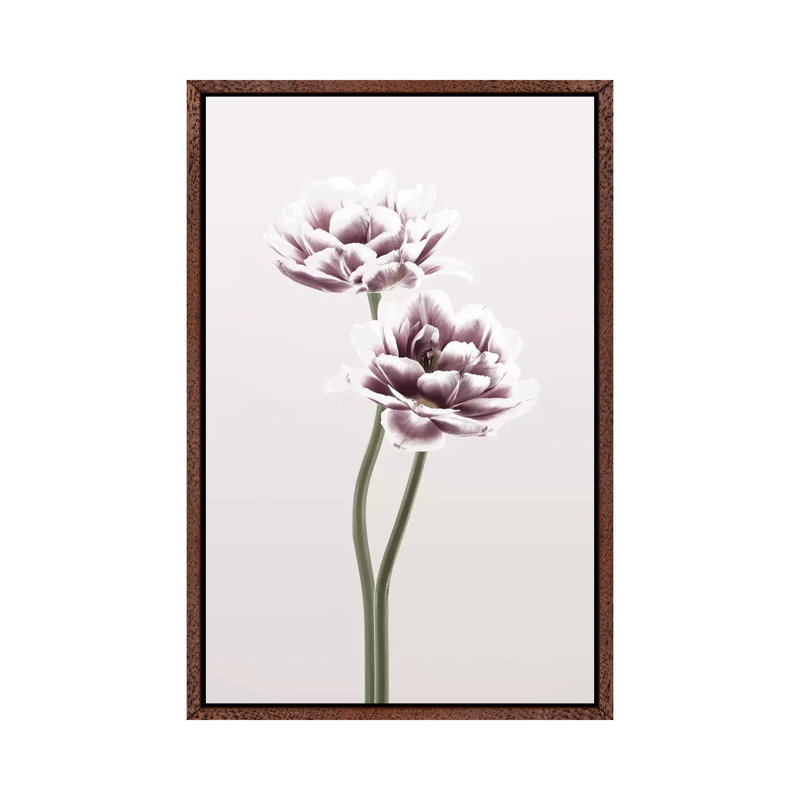 Cosmos I - Print on Canvas, 101.6cm H x 66.04cm W x 3.81cm D, Classic Brown Wood Framed