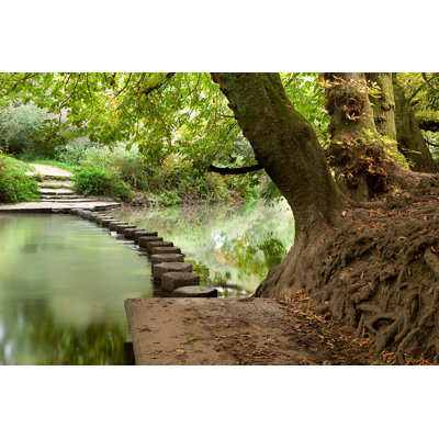 " Woodland Stepping Stones "