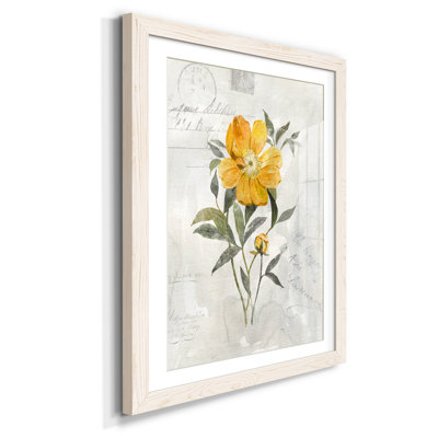 " Orchids In Paradise I "