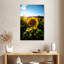 Harnek tournesol amour-108226237