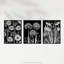 Elegant Allium And Arisaema Flowers Artwork White On Black - 3 Piece No Frame Print Set-444140442