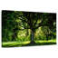 Arbre Harnek-107677811