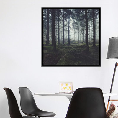 " Through The Trees " Color Photography