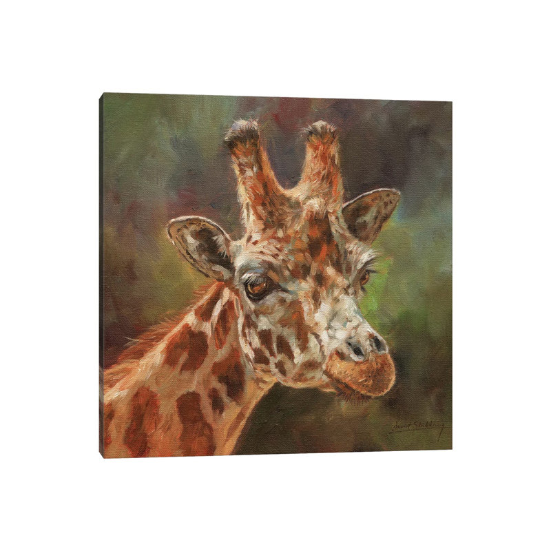 Giraffe Portrait II by David Stribbling - Wrapped Canvas Painting, 45.72 cm H x 45.72 cm W x 1.91 cm D