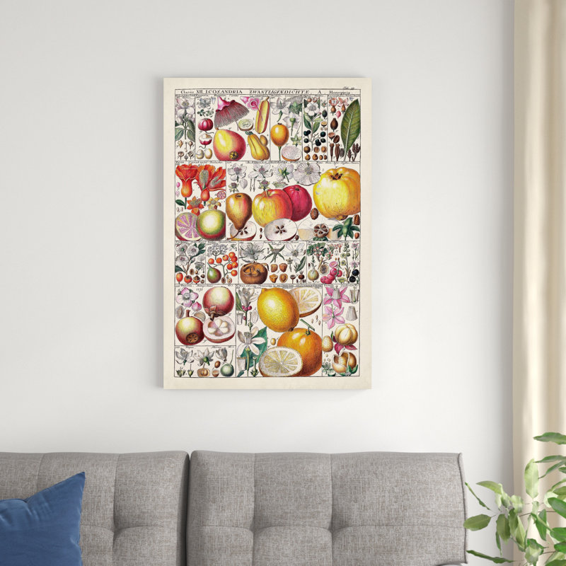 Tableau des fruits, H 36 po x l 24 po