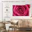 Hot Pink Rose-1995490622-1995490595
